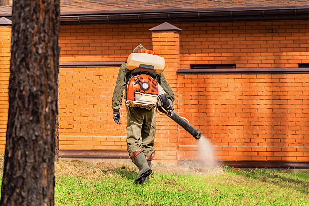 Trusted Ant Control service in Lawrenceburg, TN - Nex Pest Control